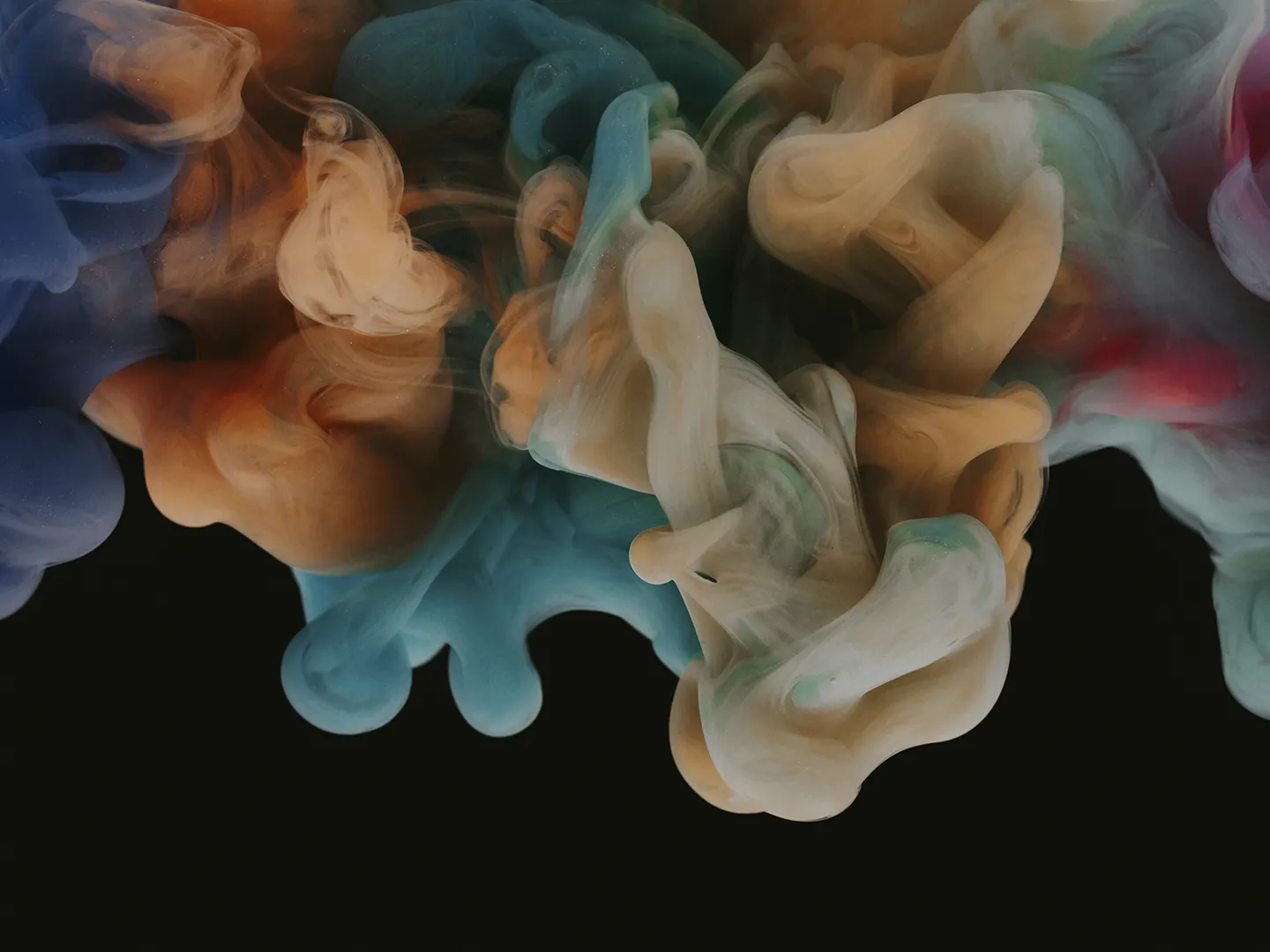 Aliquam sed lectus nulla