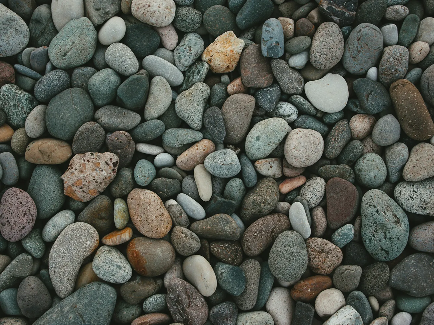 Class aptent taciti sociosqu ad litora torquent per conubia